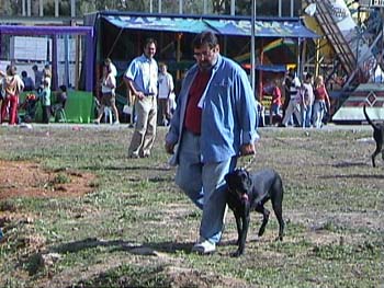 DSC00239